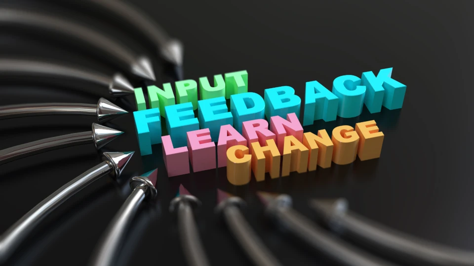 Review & Feedback loops